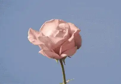 shop stylish petite clothing